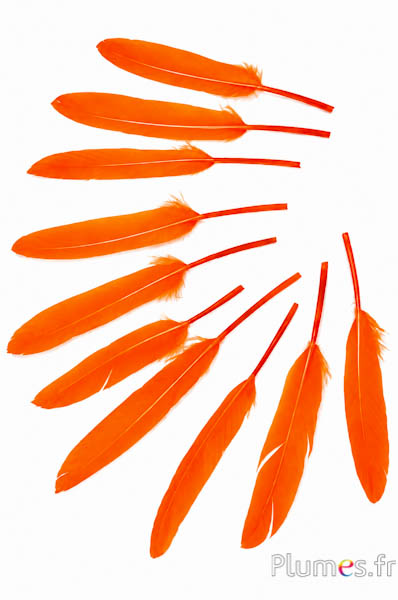 Gans - 10-15 cm - orange